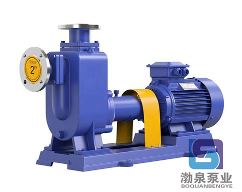 ZW400-2000-15 自吸式無堵塞排污泵